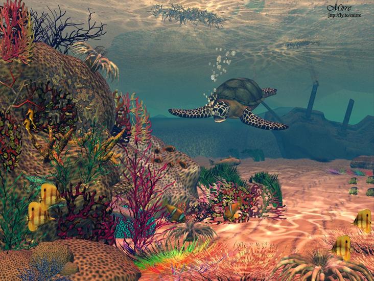 podwodny świat - Coral Reef-2.jpg