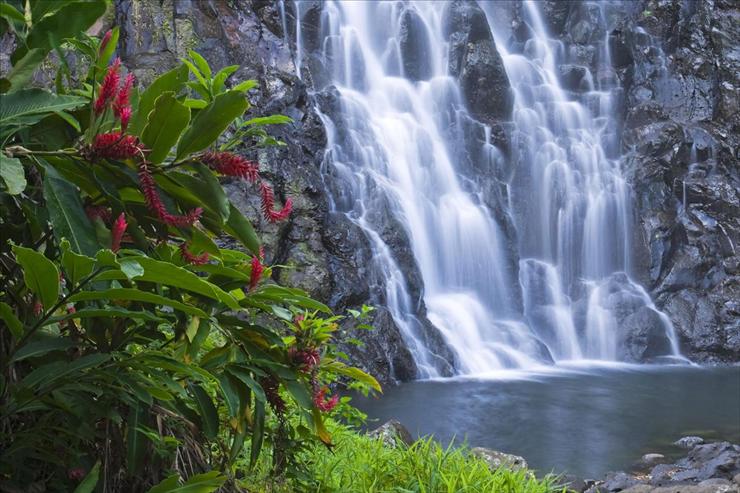 ZDJĘCIA WODOSPADY1 - Kepirohi Waterfall, Micronesia.jpg
