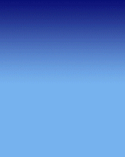 176x220 - Mobile_SCRS 135.gif