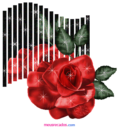 róże czerwone 1 - r__za__.gif