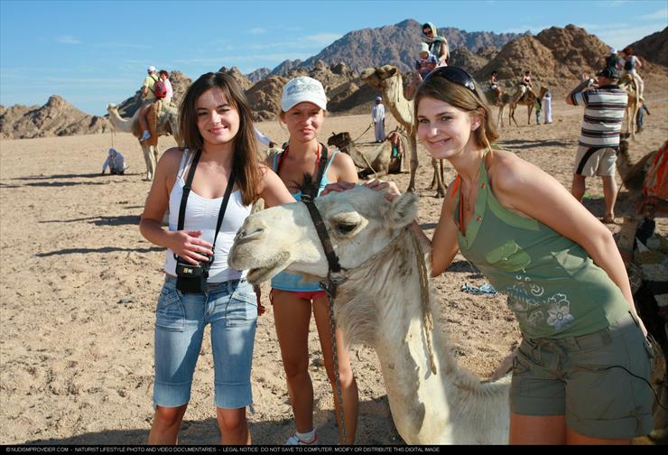 Egyptian Camel Day Tour - 0003.jpg