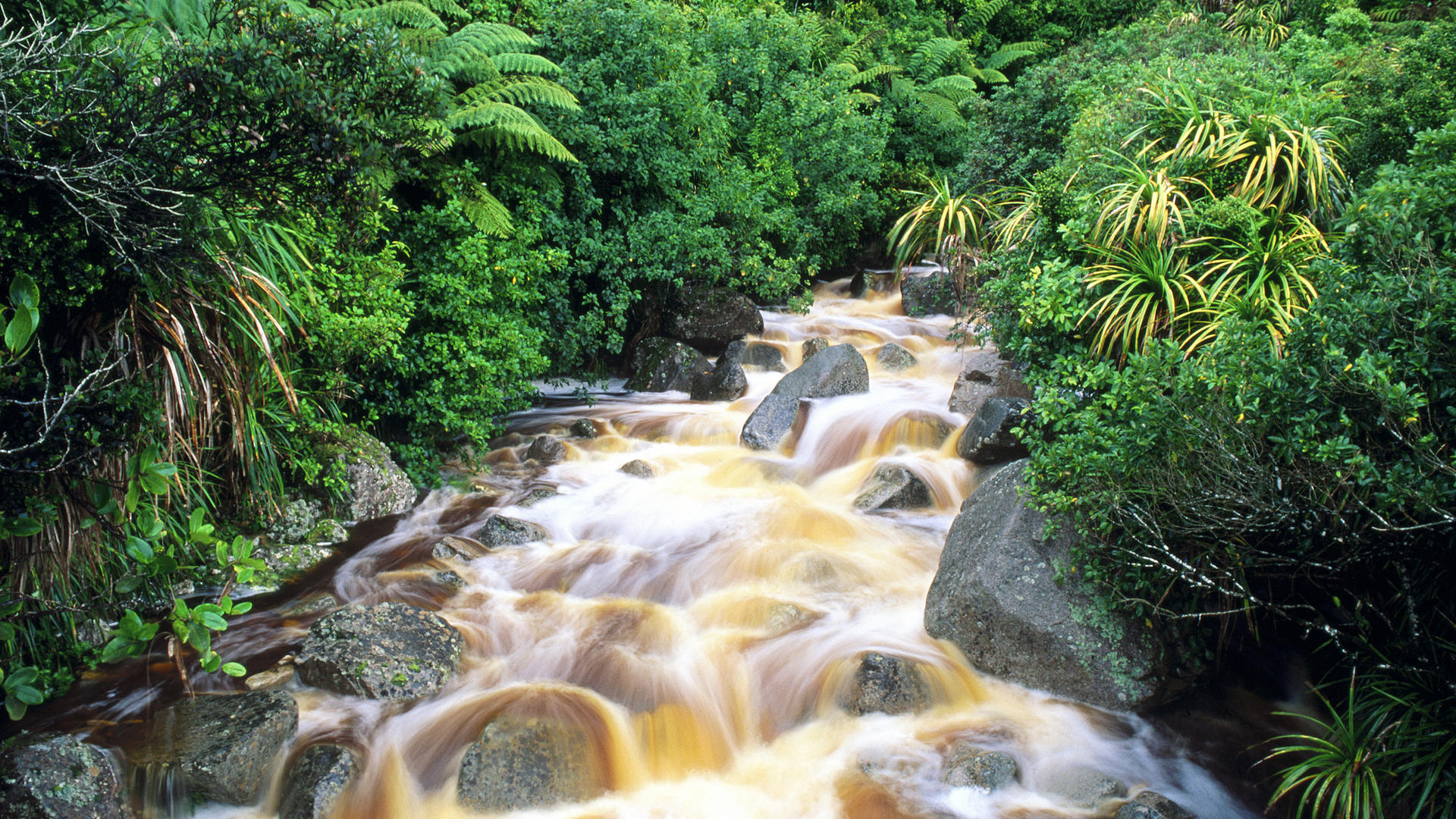 High Quality and Resolution Wallpapers 1 - Karamea, South Island, New Zealand.jpg