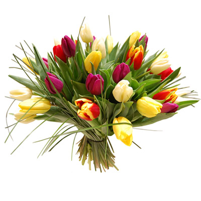 DZIEŃ KOBIET - tulipany29.jpg