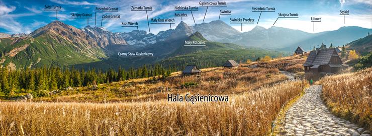 panoramy - gasienicowa1.jpg