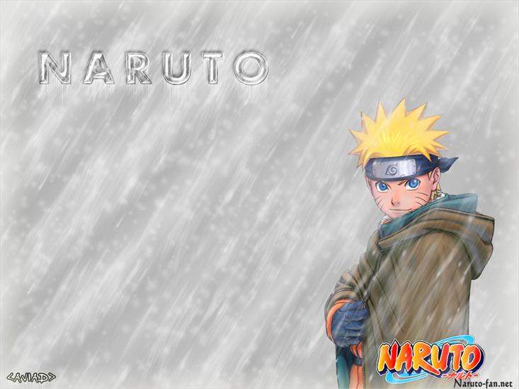 Tapety - naruto-snow_naruto-fan net.jpg