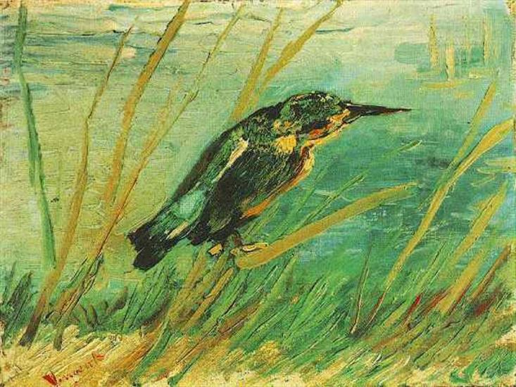 Obrazy-Vincent Van Gogh - Slajd14.JPG
