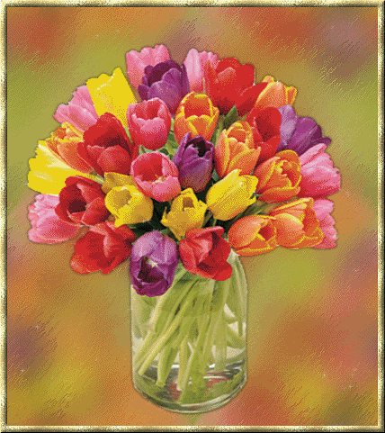 gify-tulipany - tulipany animation kolorowe_2.gif