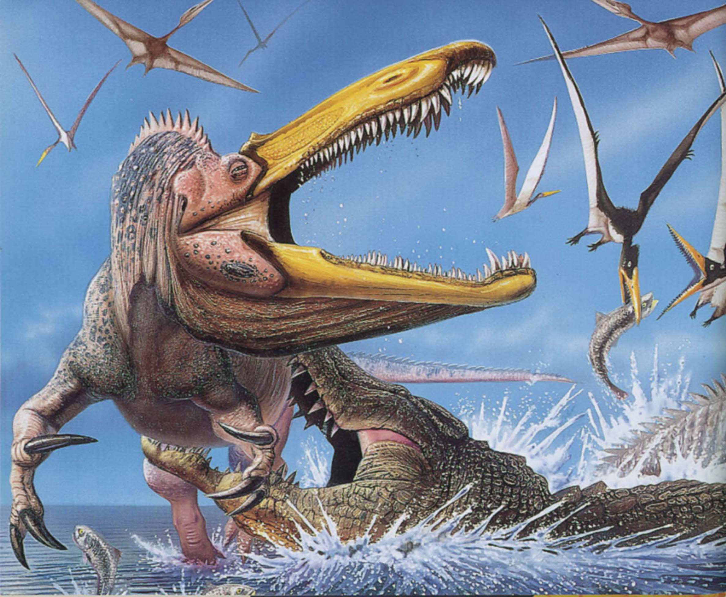 dinozaury - SUCHOMIMUS TENERENSIS.jpg