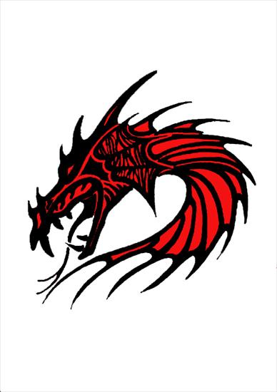 Tribale - tatouage dragon tribal.jpg