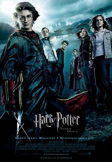 4 Harry Potter i Czara Ognia 2005 DUB PL CD1.avi - harrypotter4.jpg