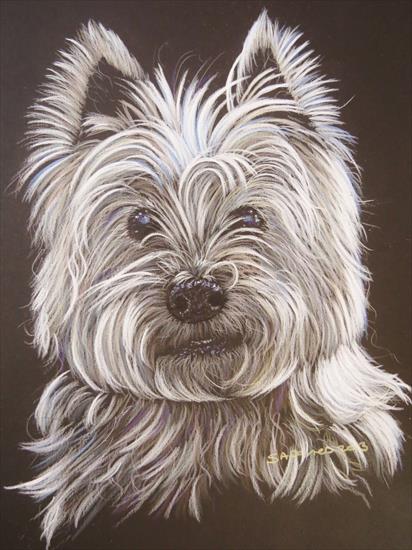 Galeria - west_highland_terrier_by_curly.jpg