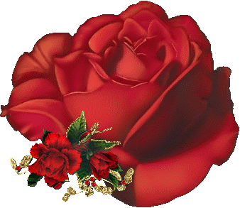 róże czerwone - róża2.gif