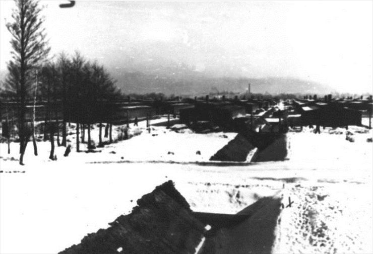 obóz - Auschwitz II-Birkenau concentration camp. In the background - Sector BII d. SS photograph..jpg