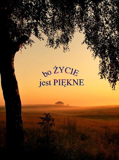 Z myśli_w słowie - życie.jpg