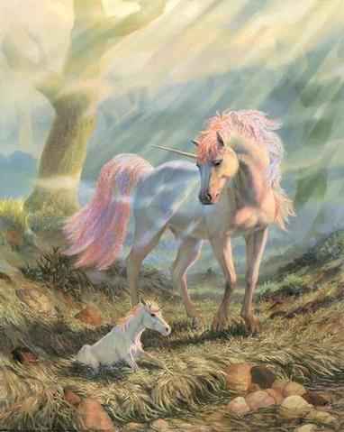 JEDNOROŻCE - unicorn-foal.jpg