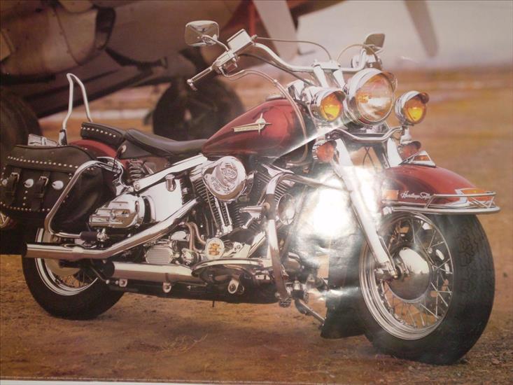 Harley-Davidson - P1010151.JPG