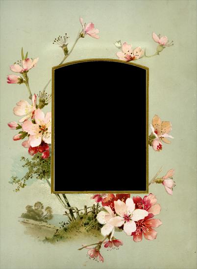 kwiaty - Floral_Frame_No8_by_DustyOldStock.png