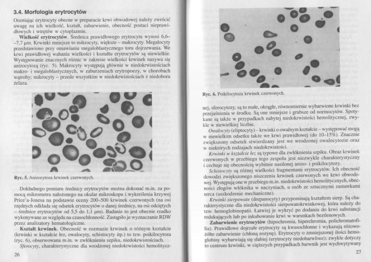 Badania laboratoryjne w hematologii - 027.jpg