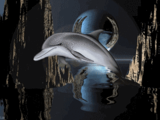 Delfiny i Ryby - 0036.gif