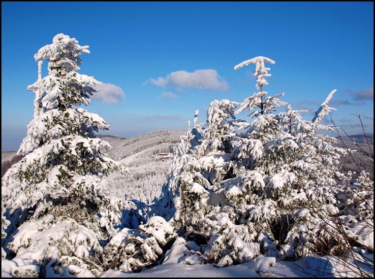 krajobrazy na kompa - zima3.jpg