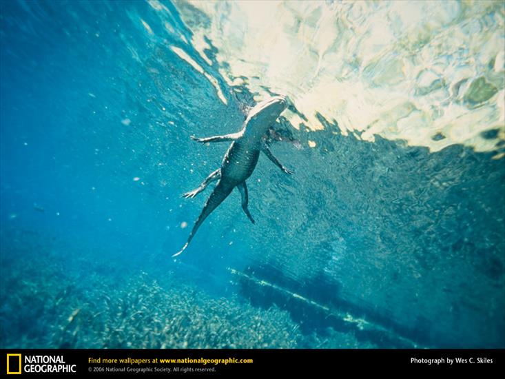 National Geographic - 461.jpg