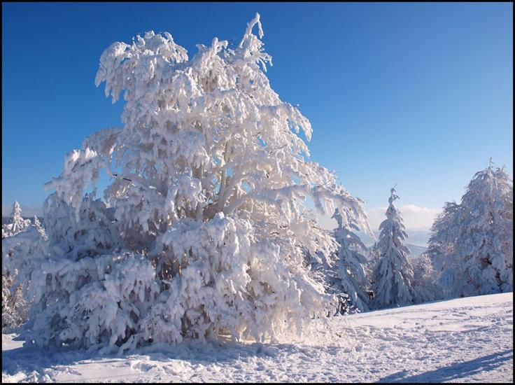 krajobrazy na kompa - zima4.jpg