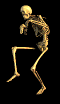 pynio - szkielet1.gif