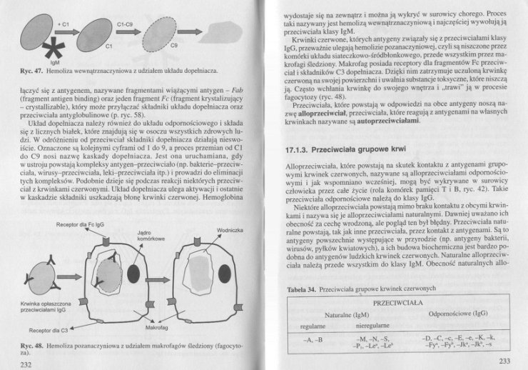Badania laboratoryjne w hematologii - 233.jpg