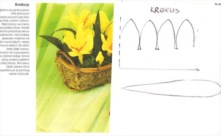 kwiaty z papieru 1 - krokus.jpg