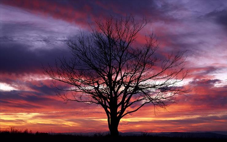 Tapety HD - 2156-PL-Beautiful Sunset.jpg
