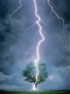 tapety 240x320 - Lightning_Tree.jpg