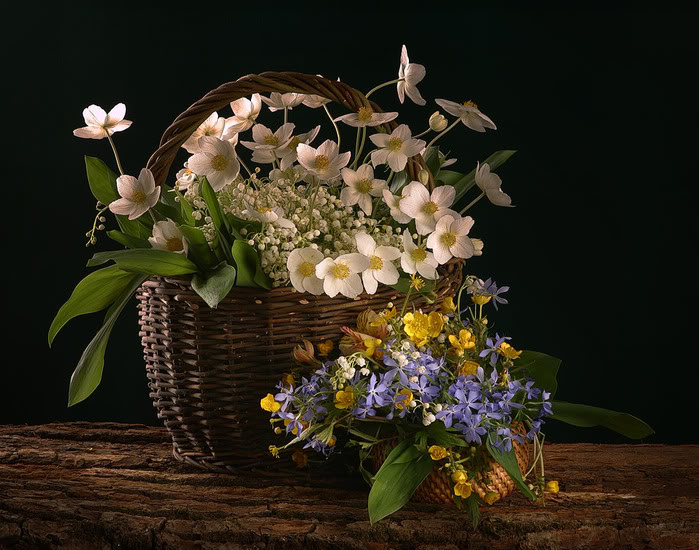 gify-kwiaty w koszach - kwiaty528.jpg