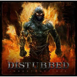 Indestructible - Cover.jpg