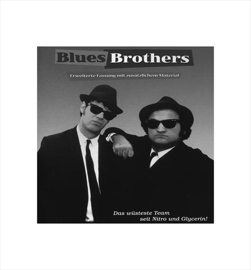 Blues Brothers - Everybody Needs Somebody - blues_brothers_b.jpg