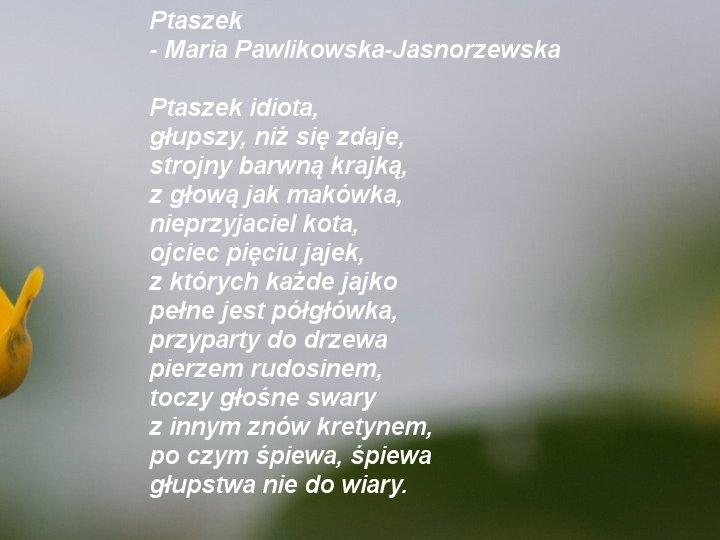 Maria Pawlikowska-Jasnorzewska z kwiatkiem - Ptasze.jpg