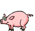 ruchome gify - swinie29.gif