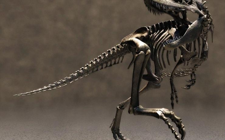 DINOZAURY - Dynozaury 56.jpg