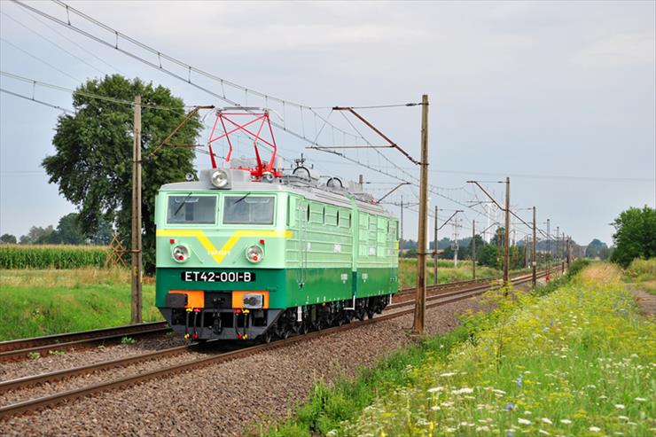 Niektóre lokomotywy polskich szlaków - Loko PL -   116.jpg