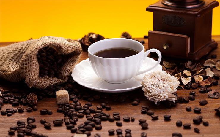 Kawa - 7004263-cup-coffee-beans.jpg