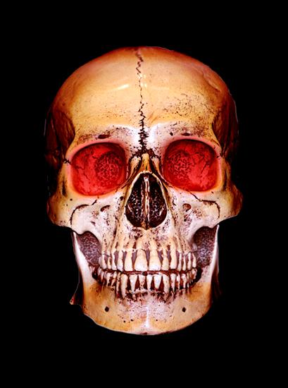 postacie, misie - SD MGH SKULL 1.png