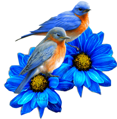 Gify-Ptaki - ptaszki kwiatki niebieskieeeee9.jpg