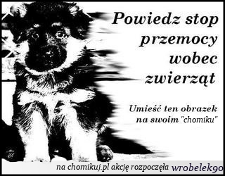 suzi-2010 - Stop przemocy wobec zwierząt.BMP