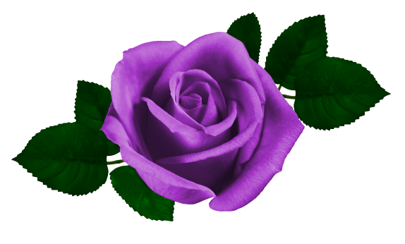 kolor fiolet - Rose_7.png
