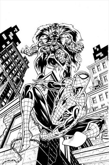 Dave Hoover - spiderman2a.jpg