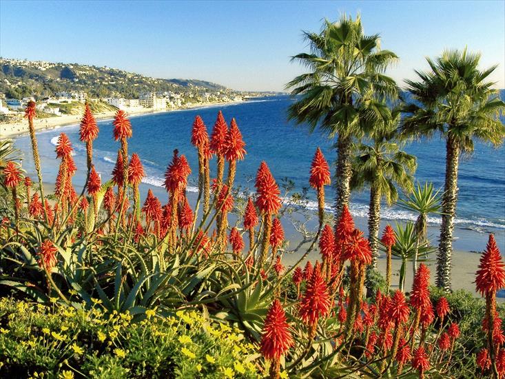 Kalifornia - Laguna Beach Landscape, California.jpg