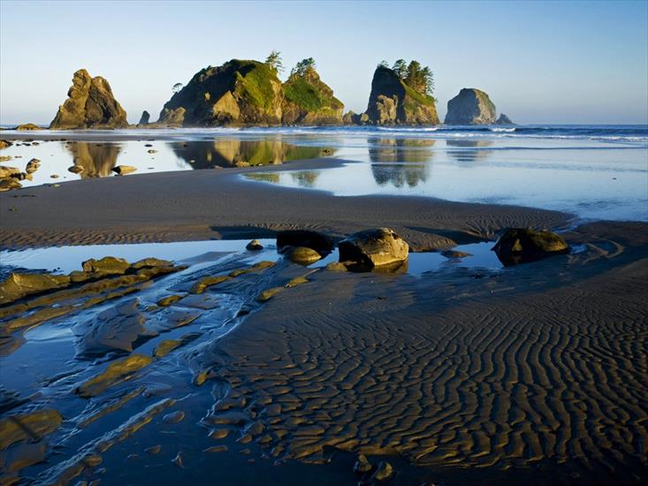 Krajobrazy3 - Shi Shi Beach, Olympic National Park, Washington.jpg