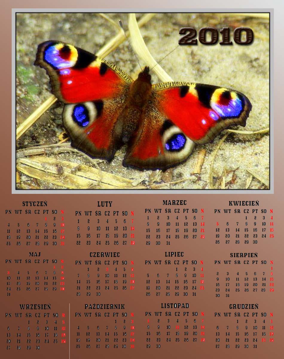 Kalendarze z motylkami - Bez nazwy 2.jpg