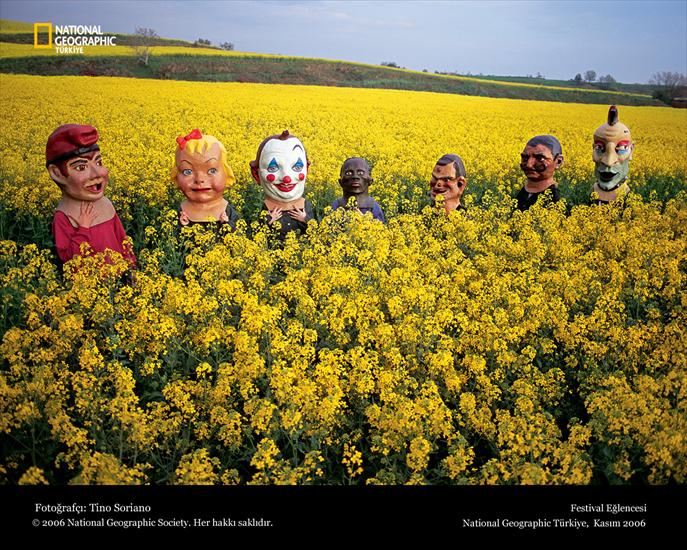 National Geographic - NGW380.jpg