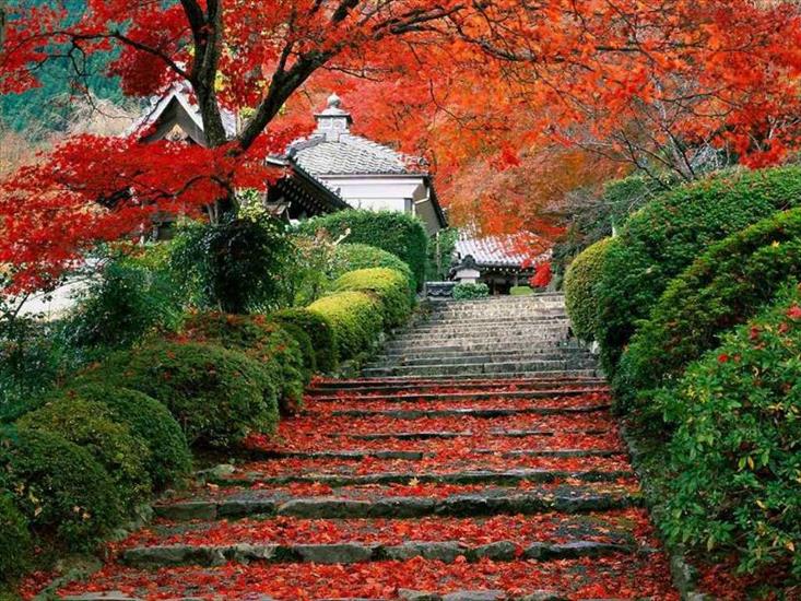 pejzaz - Japonia - schody ogrodowe, Kyoto.jpg