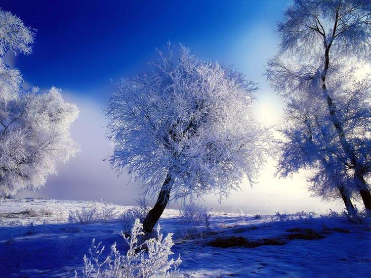 Zima - winter6.jpg